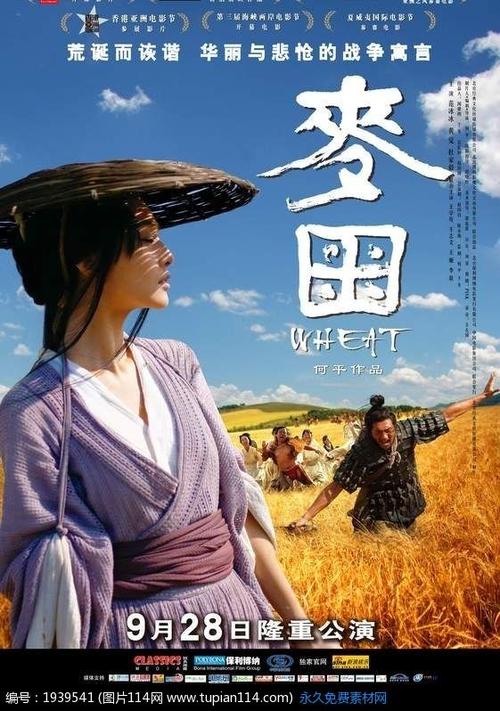 公司收集学历证书干嘛